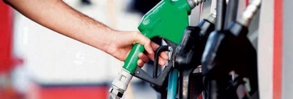 Combustibles PM Rabbit pide calma